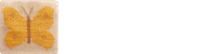 Logo Kosmisk Lindeblomst
